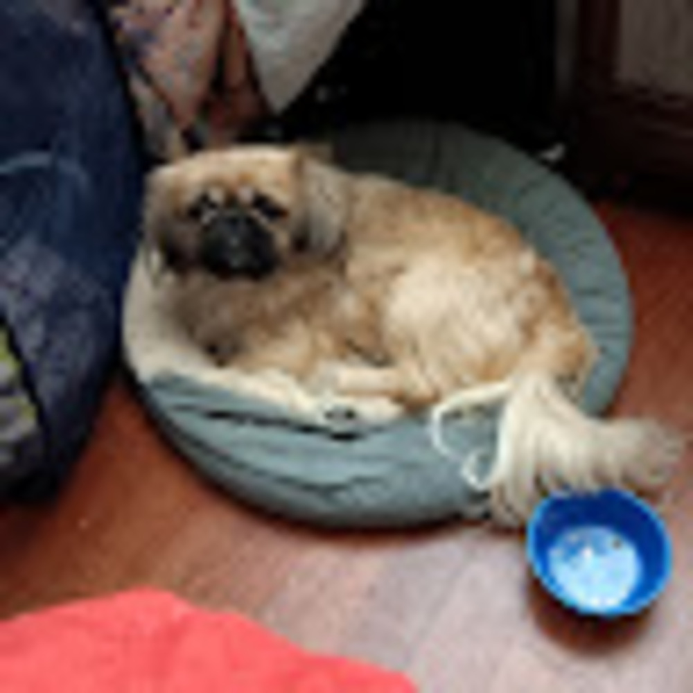 Meet your Posher, Tina